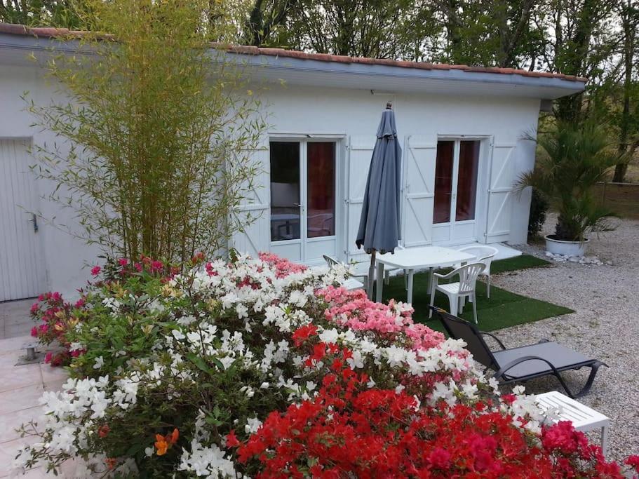 Chalet A Louer Pres De Dax Mées Εξωτερικό φωτογραφία